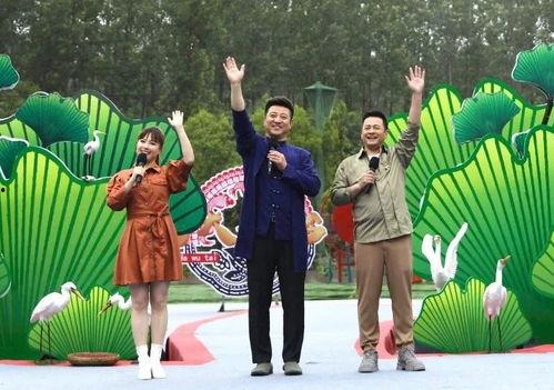 最近胶州爆料事件真相视频,还原背后真相与真相背后的真相