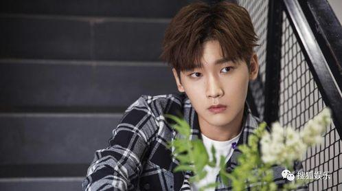 娱乐大爆料王嘉伦,娱乐大爆料中的璀璨星辉